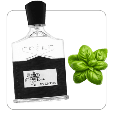 عطر